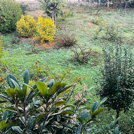 Ma'gia Fresonara (Piedmont)