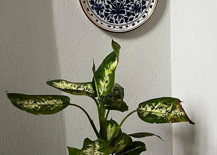 Ma'gia Lägenhet Fresonara (Piedmont)