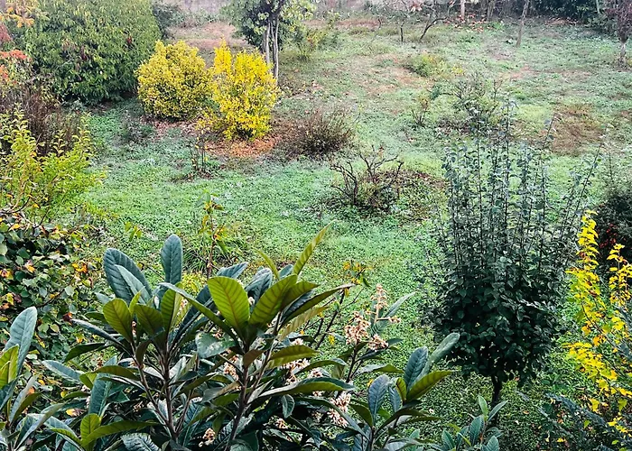 Ma'gia Fresonara (Piedmont)